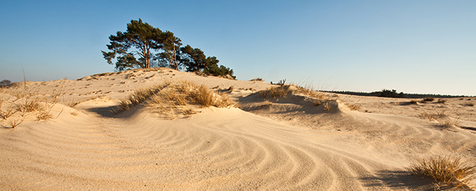 Zandverstuiving Soester Duinen